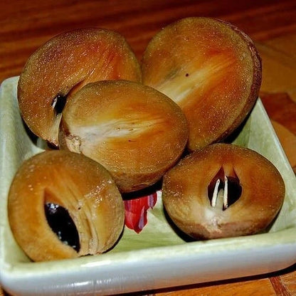 Premium Makok Dwarf Sapodilla Seeds (Manilkara zapota var. Makok Dwarf) – Exotic Sweet Chico Zapote Fruit Seeds for Planting (35 Pcs)