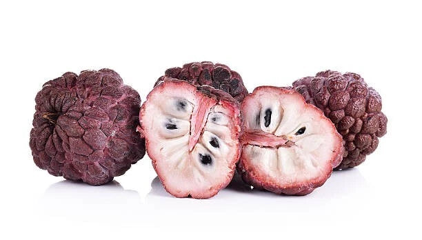 Red Sugar Apple Seeds (Annona squamosa 'Red' / 300+ Rare Purple Sweetsop Custard Apple Fruit Tree Seeds) – Premium Exotic Botanical Specimen Plant Seeds for Planting