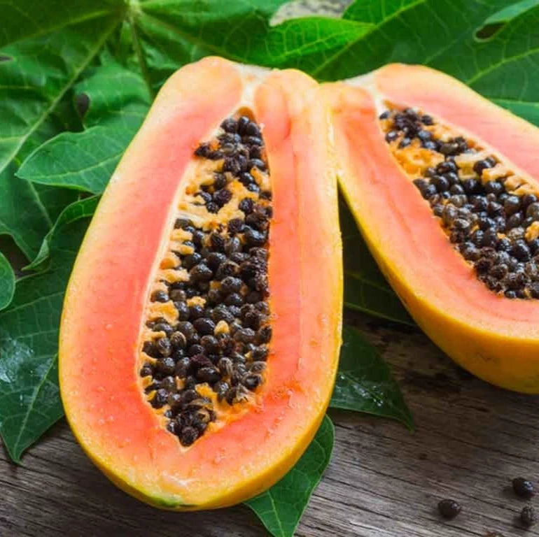 Red Cibinong Papaya Seeds (Carica papaya 'Red Cibinong') – 150 Premium Fresh Sweet Indonesian Red Pawpaw Seeds