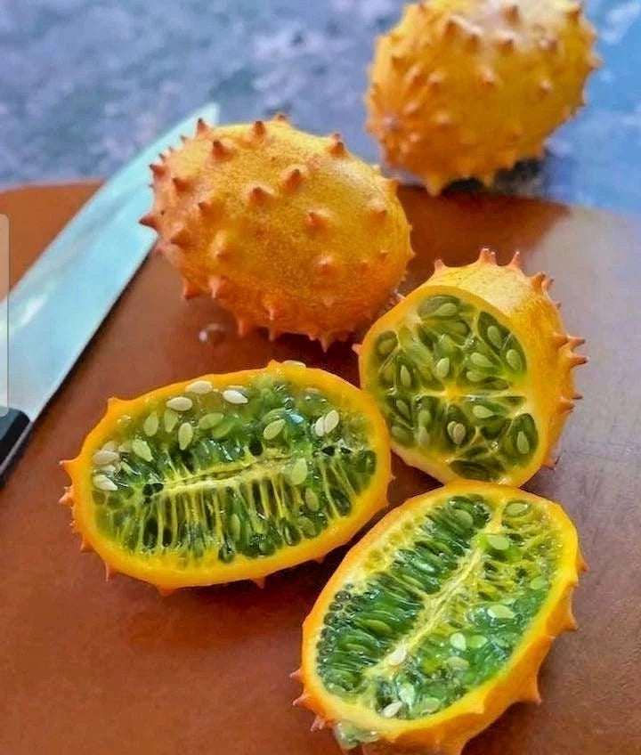 Kiwano Melon Seeds (Cucumis metuliferus) – 350+ Premium Heirloom African Horned Melon Seeds for Planting
