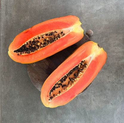 Red Maradona Papaya Seeds (Carica papaya) – 150 Premium High-Yielding Deep Red Sweet Papaya Seeds
