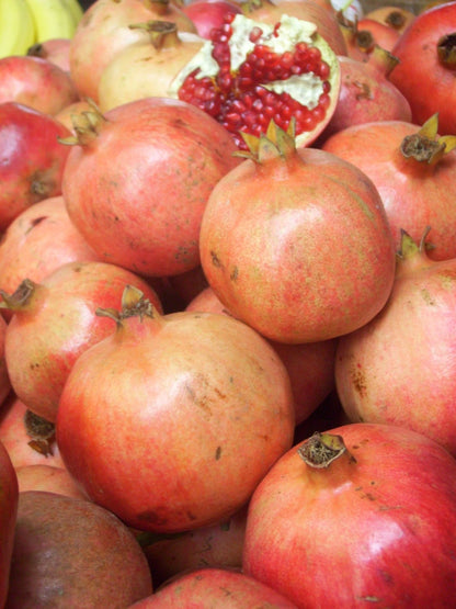 100+ 'Ambrosia' Pomegranate Seeds (Punica granatum) – Elite 'Grenadine' Orchard Genetics (Collectors Quality)