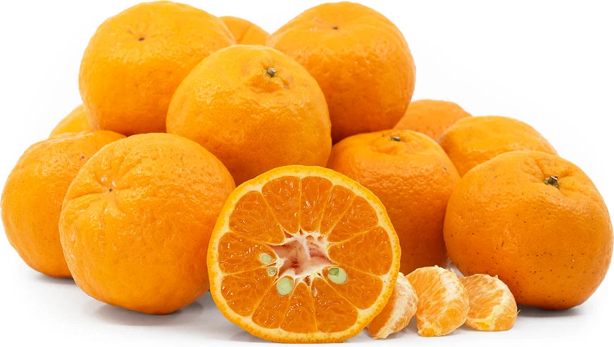 Ponkan Orange Seeds (Citrus Reticulata) – Certified Heirloom Sweet Mandarin Fruit Crop for Planting