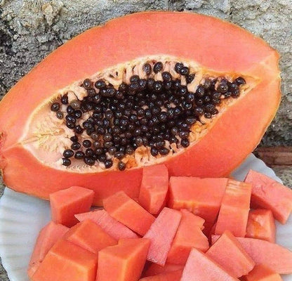 Rainbow Hawaii Papaya Seeds (Carica papaya 'Rainbow') – 150 pcs Premium Fresh Rare Sweet Hawaiian Rainbow Papaya Seeds