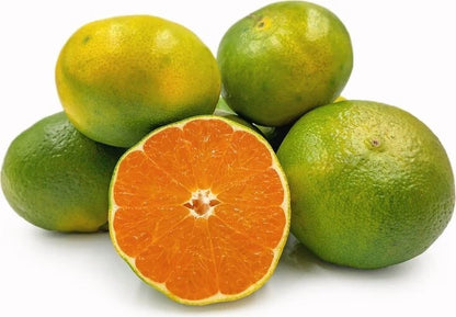 Baby Java Orange Seeds 2,000+ (Citrus sinensis var. Baby Java) – Bulk Sweet Citrus Fruit Tree & Sweet Orange Seeds for Planting