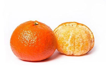 Reikou Orange Seeds (Citrus reticulata / 100+ Premium Japanese Sweet Mandarin Orange Seeds) – Premium Exotic Botanical Specimen Plant Seeds for Planting