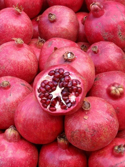 Premium Angel Red Pomegranate Seeds (Punica granatum) – Sweet Exotic Fruit Seeds for Planting
