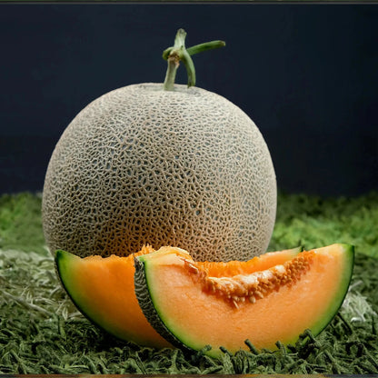 Melon Seeds 15+ pcs Bundle (Cucumis melo) – 5-Cultivar Garden Package Premium Certified Sweet Fruit Plant Seeds for Planting