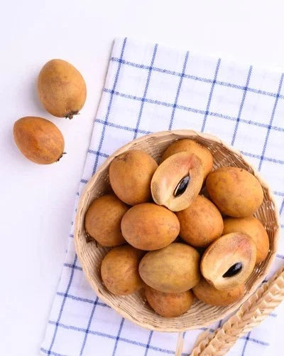 Premium Sapodilla Seeds var. Bangsai (Manilkara zapota 'Bangsai') – Sweet Thai Chico Zapote Fruit Seeds for Planting (35 Pcs)
