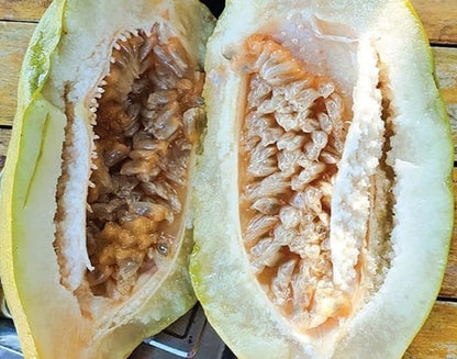 Giant Granadilla Passion Fruit (Passiflora quadrangularis) – 150+ Premium Seeds