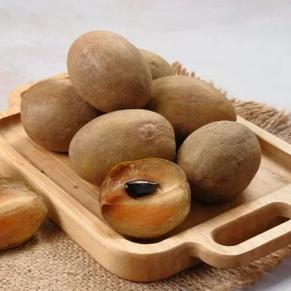 Premium Manila Sapodilla Seeds (Manilkara zapota var. Manila) – Exotic Sweet Chico Zapote Fruit Seeds for Planting (35 Pcs)