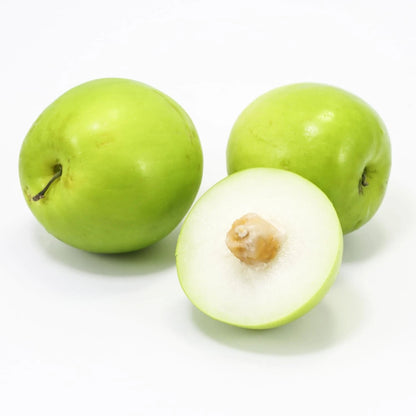 2500++ Big Green Putsa Apple Seeds (Ziziphus mauritiana var. Big Green Jujube) – Premium Quality