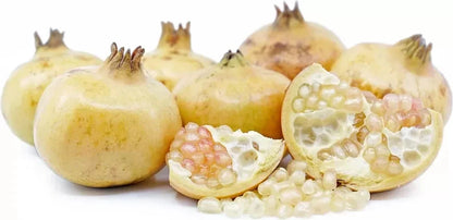 White Pomegranate Seeds (Punica granatum) – Premium Certified Sweet Exotic Fruit Tree Plant Seeds for Planting