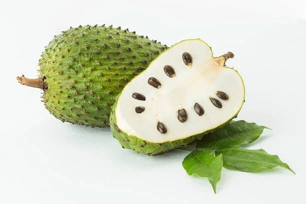Soursop (Annona muricata) – 100+ Premium Seeds