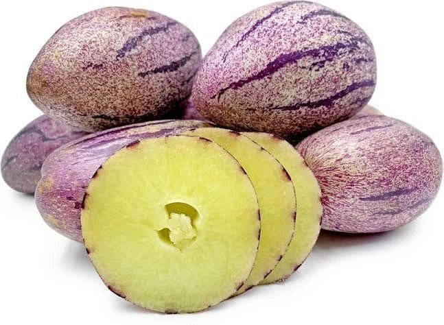 500+ Purple Pepino Seeds (Solanum muricatum) | Exotic Sweet Melon Pear Fruit | Rare Edible Plant