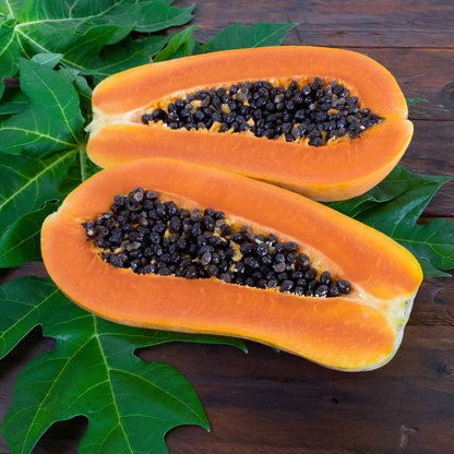 Formosa Papaya Seeds (Carica papaya 'Formosa') – 150+ Premium Fresh Large-Fruit Ultra-Sweet Formosa Papaya Seeds