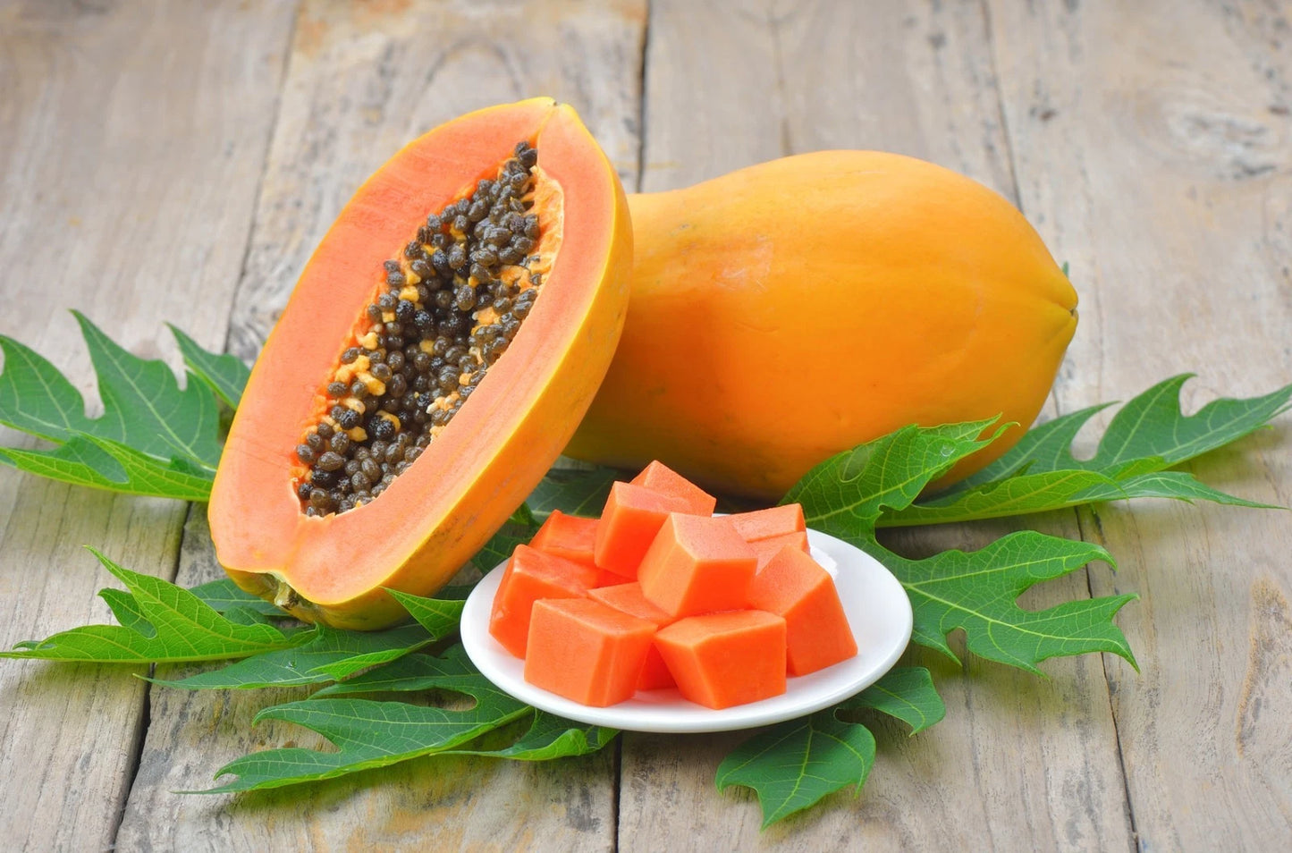 Exotica Papaya Seeds (Carica papaya var. Exotica) – Premium Sweet Red-Fleshed Tropical Fruit Tree Seeds for Planting (150 Pcs)