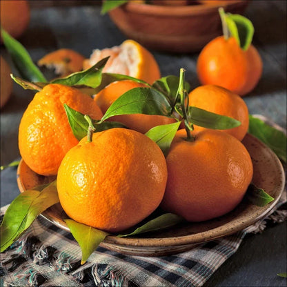 Mandarin Orange Seeds (Citrus reticulata) – Premium Certified High-Yield Sweet Citrus Fruit Tree Plant Seeds for Planting (100 Pcs)