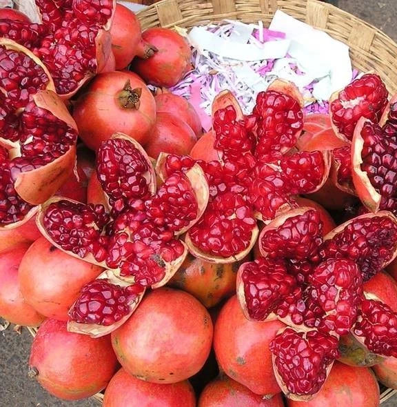 Premium 'Bhagwa' Pomegranate Seeds (Punica granatum) – Elite High-Yield Commercial Pomegranate Seeds (100 Count)