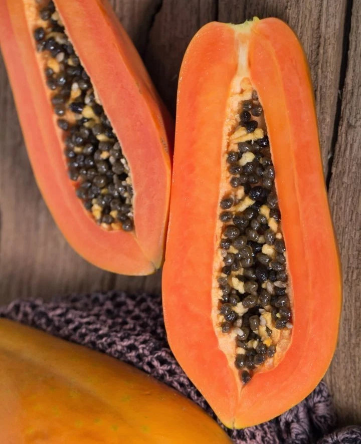 California Papaya Seeds (Carica papaya 'California') – 150+ Premium Fresh Sweet Uniform California Papaya Seeds