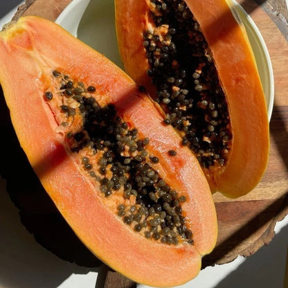 Red Delima Papaya Seeds (Carica papaya 'Red Delima') – 150 Premium Fresh Ultra-Sweet Vibrant Crimson Red Pawpaw Seeds