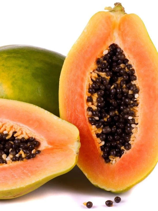 Tropical Sunrise Papaya Seeds (Carica papaya) – 100+ Premium High-Yielding Sweet Pink-Orange Papaya Seeds
