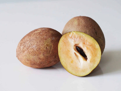 Chiku Jantung Sapodilla Seeds (Manilkara zapota) – 35+ Premium Chikoo Seeds