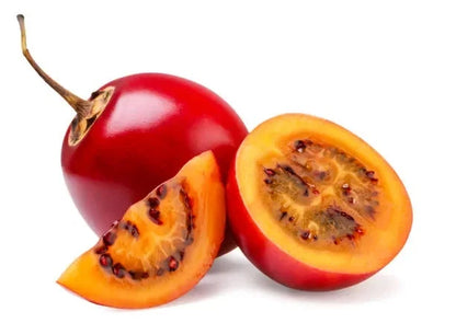 Exotic Tree Tomato (Solanum betaceum) – 1000+ Premium Red Tamarillo Seeds