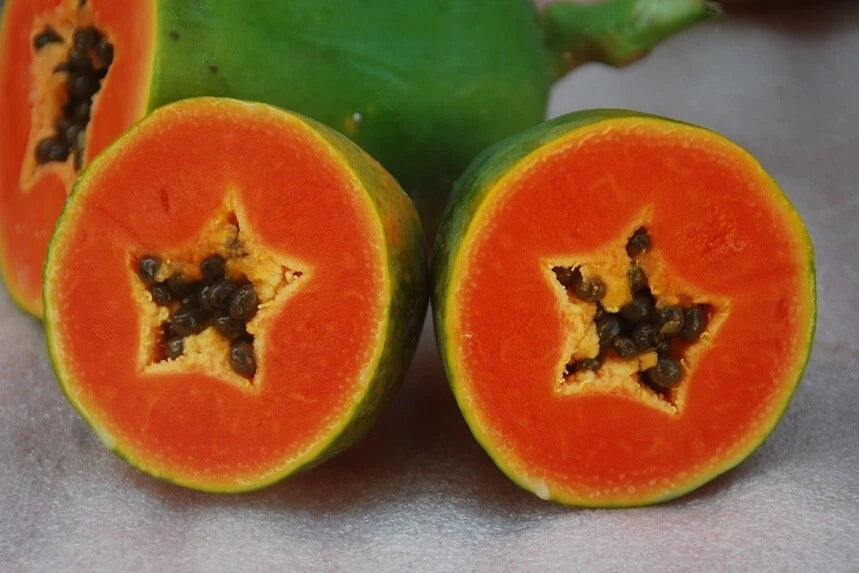 150+ Arum Bogor Papaya Seeds (Carica papaya / Premium Indonesian Red Fleshed Papaya) – Premium Exotic Fruit Tree & Orchard Seeds for Planting