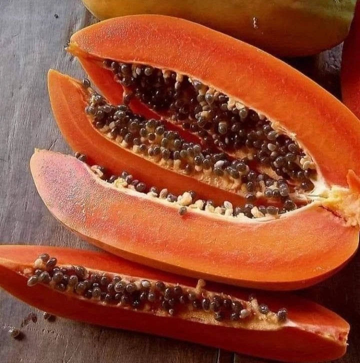 Papaya Seeds var. Carisya (Carica papaya) – Premium Red Pawpaw Exotic Fruit Tree Seeds for Planting (150 Pcs)