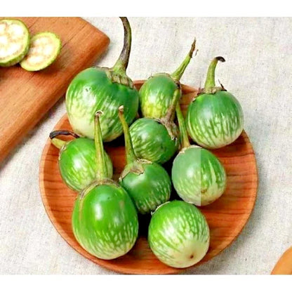 Green Thai Eggplant Seeds (Solanum melongena) – 5,000+ Bulk Premium Round Eggplant Seeds