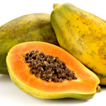 1,000+ Dwarf Indian Pusa Papaya Seeds (Carica papaya) | Fast Fruiting | Compact Tropical Fruit Plant