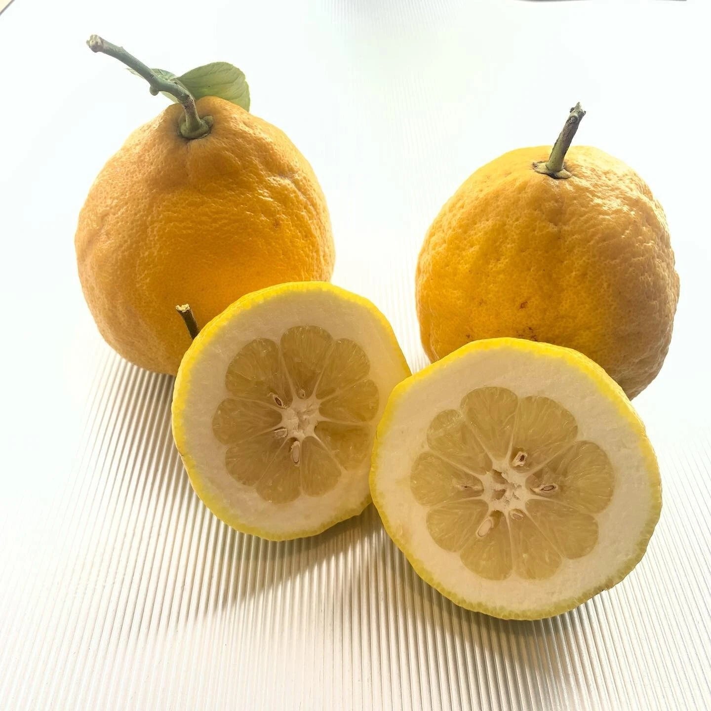 100++ Ponderosa Lemon Seeds (Citrus limon) – Premium Quality