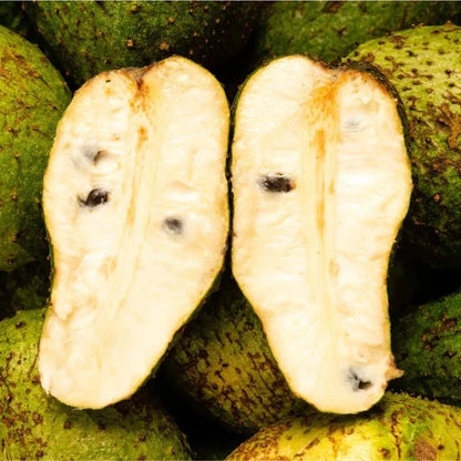 Premium Cuban Fiberless Soursop Seeds (Annona muricata var. Cuban Fiberless) – Sweet Tropical Fruit Tree Seeds for Planting (100+ Pcs)