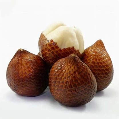 Premium Snake Fruit Seeds (5 pcs) - Authentic Tropical Salak Zalacca (Salacca edulis) Palm Seeds