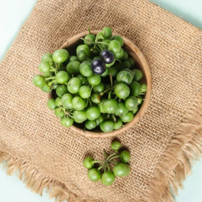 1000+ Black Nightshade Berry Seeds (Solanum nigrum) – Certified Leunca Eggplant & Solanaceae Fruit Crop Seeds for Planting