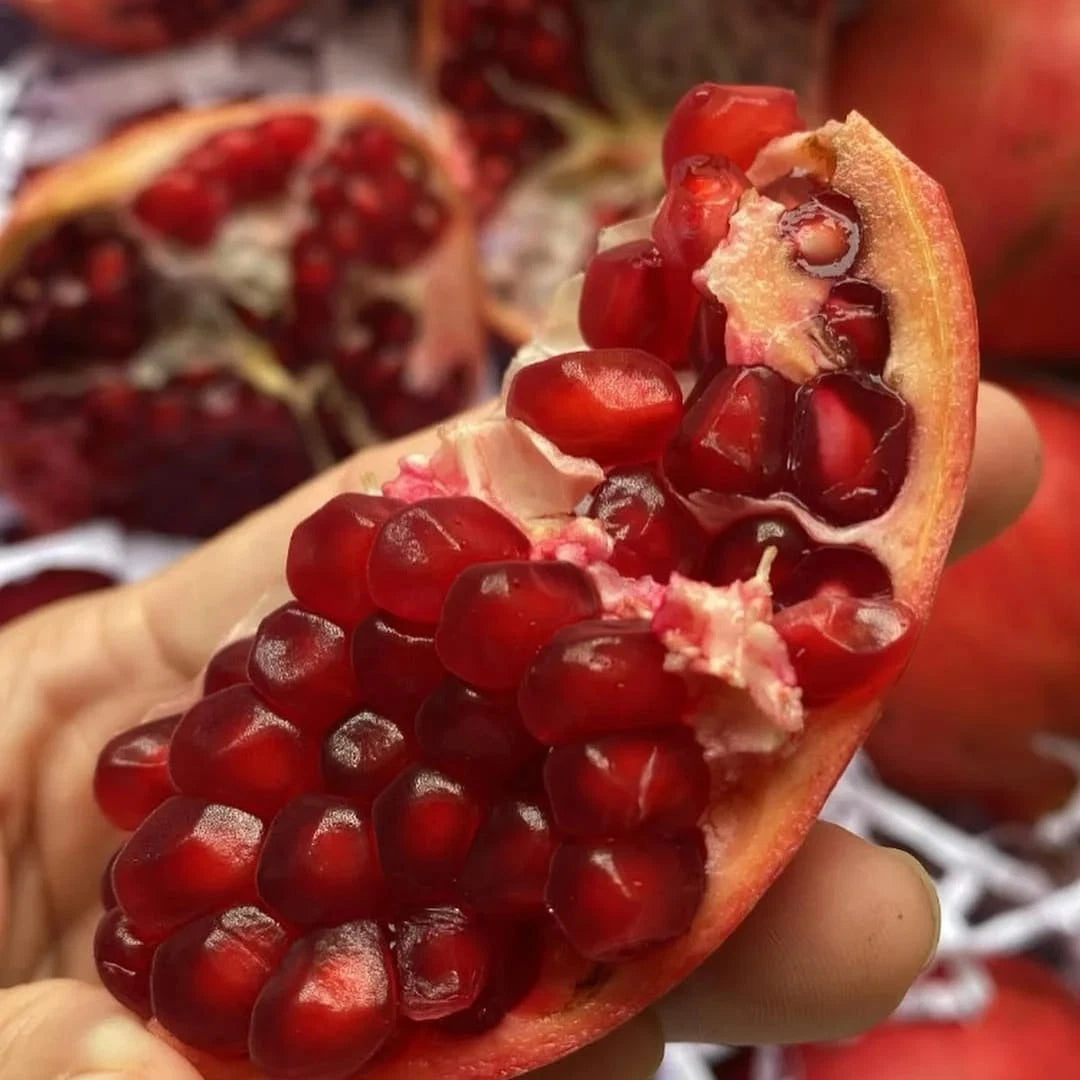 Ganesh Pomegranate Seeds (Punica granatum var. Ganesh Red / 300+ Premium Soft-Seeded Fruit Tree Seeds) – Exotic Botanical Specimen Plant Seeds for Planting