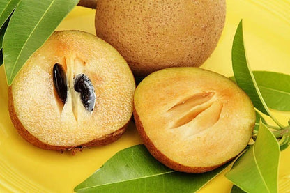 Premium Sapodilla Manila Seeds (Manilkara zapota var. Manila) – Sweet Chico Zapote Exotic Fruit Seeds for Planting (500+ Pcs)