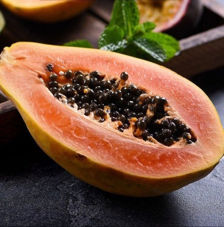 Havana Papaya Seeds (Carica papaya 'Havana') – 150+ Premium Fresh Sweet Caribbean-Style Havana Papaya Seeds