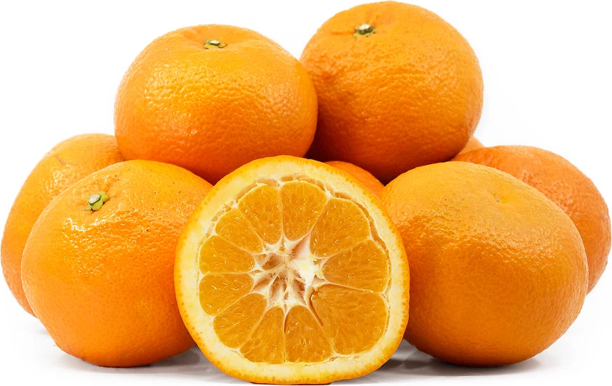 Iyokan Orange Seeds (Citrus iyo / 100+ Premium Japanese Sweet Citrus Fruit Seeds) – Premium Exotic Botanical Specimen Plant Seeds for Planting