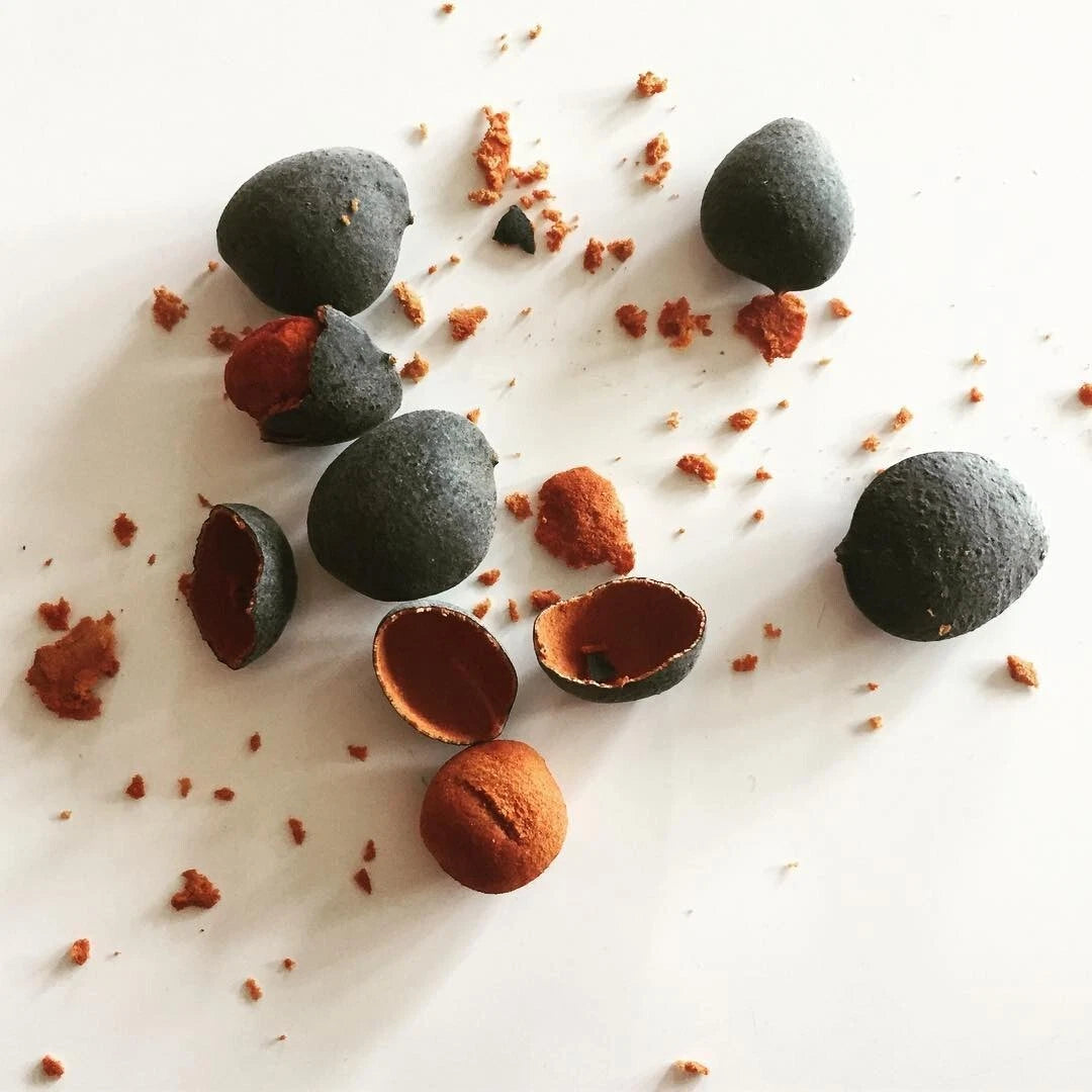 Velvet Tamarind Seeds (Dialium indum / 100+ Rare Asian Fruit Tree Seeds) – Premium Exotic Tropical Fruit Plant Seeds for Planting