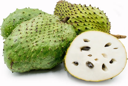Bulk Amazon Hybrid Soursop Seeds (Annona muricata 'Amazon Hybrid') – 100+ Premium Fresh Rare High-Yield Sweet Soursop Seeds for Planting
