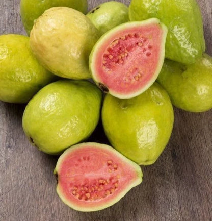Red Kencana Guava Seeds (Psidium guajava) – Premium Certified Tropical Fruit Tree Seeds for Planting