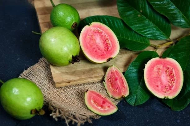 Red Guava Seeds (Psidium guajava) – Premium Certified High-Yield Sweet Tropical Fruit Tree Seeds for Planting (50+ Pcs)