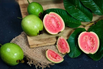 Red Guava Seeds (Psidium guajava) – Premium Certified High-Yield Sweet Tropical Fruit Tree Seeds for Planting (50+ Pcs)
