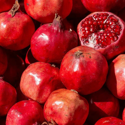 Kesar Pomegranate Seeds (Punica granatum 'Kesar') – 100 Premium Fresh Ultra-Sweet Rich Grenadine Kesar Pomegranate Seeds