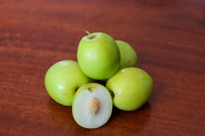 Green Jujube Putsa Apple Seeds (Ziziphus mauritiana / 5,000+ Bulk Indian Plum Fruit Tree Seeds) – Premium Exotic Botanical Specimen Plant Seeds for Planting