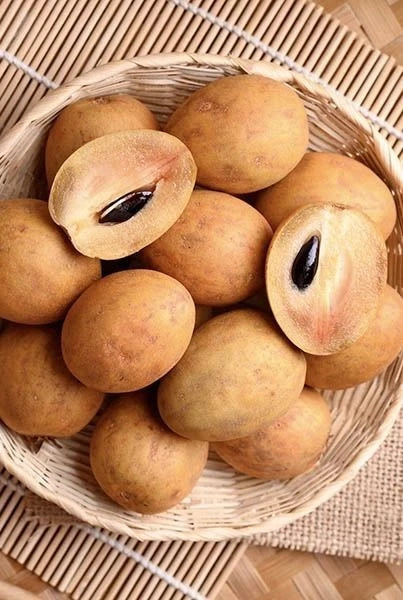 Premium Silas Wood Sapodilla Seeds (Manilkara zapota var. Silas Wood) – Exotic Sweet Chico Zapote Fruit Seeds for Planting (35 Pcs)