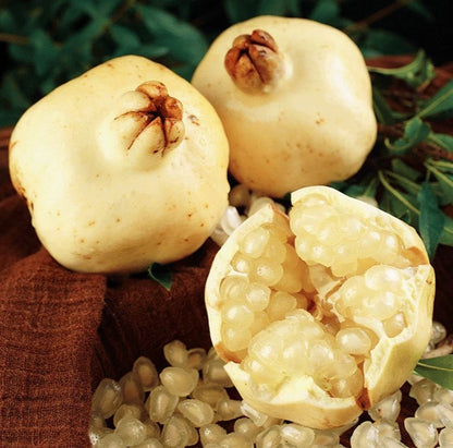 White Pomegranate Seeds (Punica granatum var. White Pomegranate) – Rare Crystal Clear Fruit Seeds for Planting (100+ Pcs)