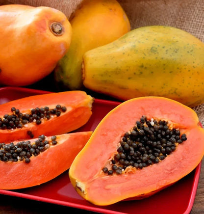 Wulung Papaya Seeds (Carica papaya) – 150+ Premium Rare Purple Wulung Papaya Seeds